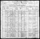 1900 United States Federal Census for Evelyn Greene
Nebraska
Cherry
Merriman
District 0040